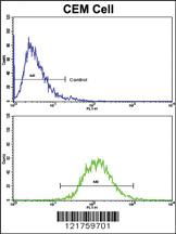 Anti-NSMAF Rabbit Polyclonal Antibody