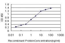 Anti-TWSG1 Mouse Monoclonal Antibody [clone: 6E6]