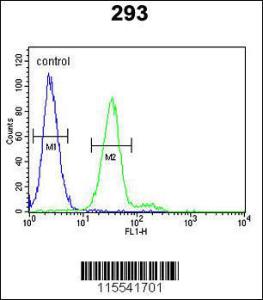 Anti-KIT Rabbit Polyclonal Antibody