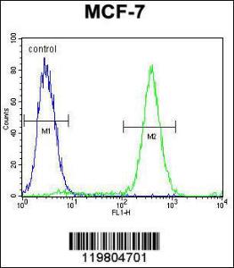 Anti-QTRTD1 Rabbit Polyclonal Antibody (HRP (Horseradish Peroxidase))