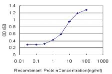 Anti-MAGEA4 Mouse Monoclonal Antibody [clone: 3D12]