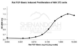 Rat Recombinant FGF-basic (from E. coli)