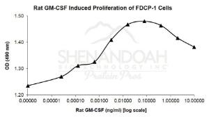 Rat Recombinant GM-CSF (from <i>E. coli</i>)