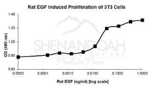 Rat Recombinant EGF (from E. coli)