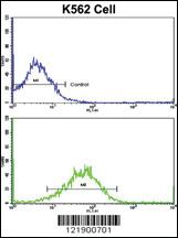 Anti-SFRP5 Rabbit Polyclonal Antibody