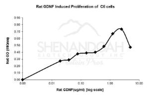 Rat Recombinant GDNF (from E. coli)