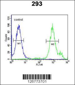 Anti-SLC9A9 Rabbit Polyclonal Antibody