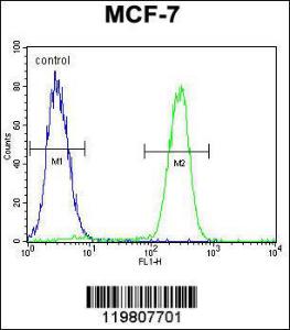 Anti-RACGAP1 Rabbit Polyclonal Antibody (APC (Allophycocyanin))