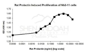 Rat Recombinant Prolactin (from E. coli)