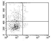 Anti-Macrophage Inflammatory Protein 3 alpha Rat Monoclonal Antibody (APC (Allophycocyanin)) [clone: 11D83]