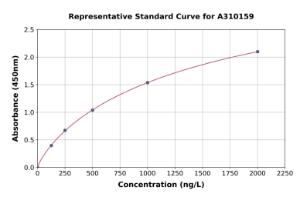 Representative standard curve for Human HOXD10 ELISA kit (A310159)