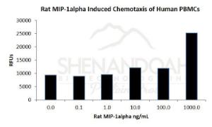 Rat Recombinant MIP-1alpha/CCL3 (from <i>E. coli</i>)