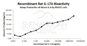 Rat recombinant IL-17A (from <i>E. coli</i>)