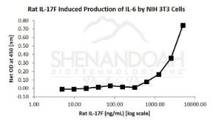 Rat recombinant IL-17F (from <i>E. coli</i>)