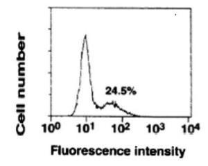 Anti-FCER1A antibody