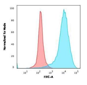 Flow cytometric analysis of PFA fixed U87MG cells using Anti-CD63 Antibody [NKI/C3] followed by Goat Anti-Mouse IgG (CFand#174; 488) (Blue). Isotype Control (Red)