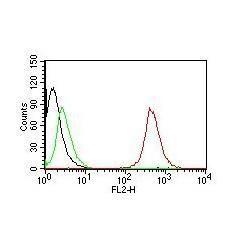 Flow cytometric analysis of MCF-7 cells labeling CD63 with Anti-CD63 Antibody [NKI/C3] (PE) (Red). Cells alone (Black). Isotype Control (Green)