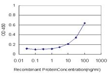 Anti-SUMF2 Mouse Monoclonal Antibody [clone: 4B3]