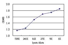 Anti-CNDP2 Antibody Pair