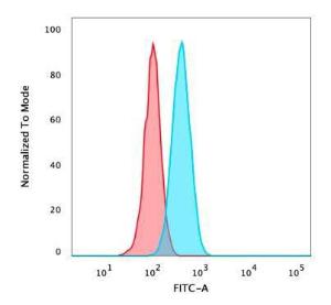 Flow cytometric analysis of PFA fixed HeLa cells using Anti-p40 Antibody [rTP40/3690] followed by Goat Anti-Mouse IgG (CFand#174; 488) (Blue). Isotype Control (Red)