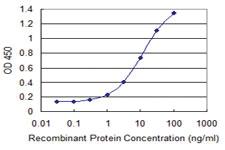 Anti-PAGE4 Mouse Monoclonal Antibody [clone: 7C3]