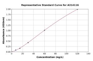 Representative standard curve for human IL-32 ELISA kit (A314116)