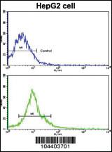 Anti-AMFR Rabbit Polyclonal Antibody