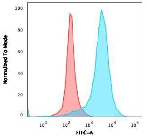 Flow cytometric analysis of PFA fixed U87MG cells using Anti-CD63 Antibody [LAMP3/529] followed by Goat Anti-Mouse IgG (CF&#174; 488) (Blue). Isotype Control (Red)