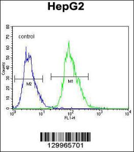 Anti-OR4K5 Rabbit Polyclonal Antibody (APC (Allophycocyanin))