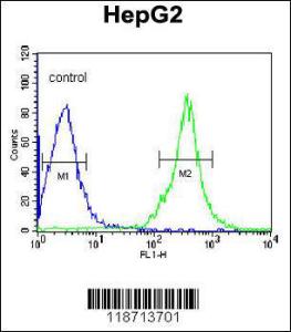 Anti-FGG Rabbit Polyclonal Antibody