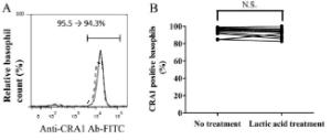 Anti-FCER1A Antibody (FITC)