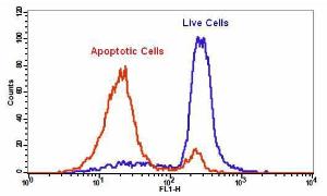 Cell meter/trade in 22810