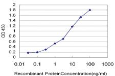 Anti-SREBF1 Mouse Monoclonal Antibody [clone: 4G4]