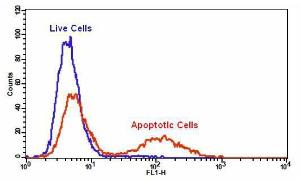 Cell meter/trade ca 22823