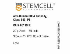 Anti-human CD34 antibody, spectrum 563, PE