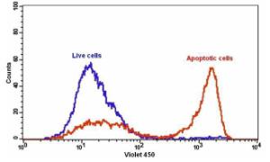 Cell meter/trade an 22828