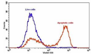 Cell meter/trade an 22830