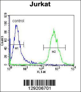 Anti-OR4N4 Rabbit Polyclonal Antibody