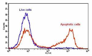 Cell meter/trade ph 22831