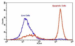 Cell meter/trade ph 22832