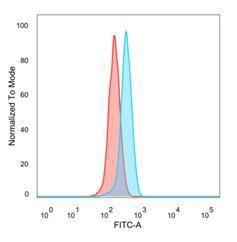 Flow cytometric analysis of PFA fixed HeLa cells using Anti-GTF2H2 Antibody [PCRP-GTF2H2-1B9] followed by Goat Anti-Mouse IgG (CF and #174; 488) (Blue). Unstained cells (red)