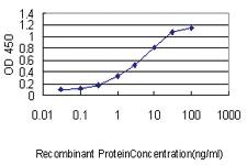 Anti-SRF Mouse Monoclonal Antibody [clone: 1C8]