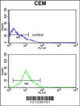 Anti-KCNJ11 Rabbit Polyclonal Antibody