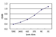 Anti-SNX25 Antibody Pair