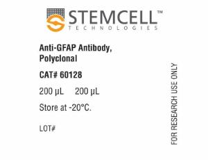 Anti-GFAP antibody, polyclonal