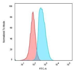 Anti-CD74 Mouse Monoclonal Antibody [Clone: SPM523]