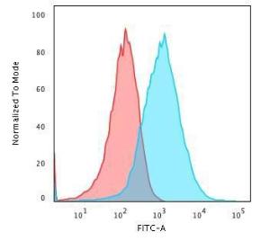 Flow cytometric analysis of PFA fixed HePG2 cells using Anti-GRP94 Antibody [SPM249] followed by Goat Anti-Rat IgG (CF&#174; 488) (Blue). Isotype Control (Red).