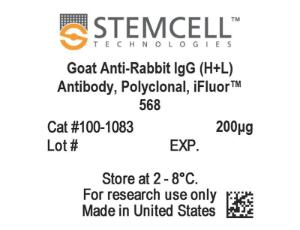 Goat Anti-Rabbit IgG (H+L) antibody, polyclonal, iFluor™ 568