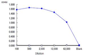 Anti-beta Galactosidase Antibody