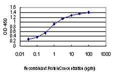 Anti-FGFR2 Mouse Monoclonal Antibody [clone: 1G3]